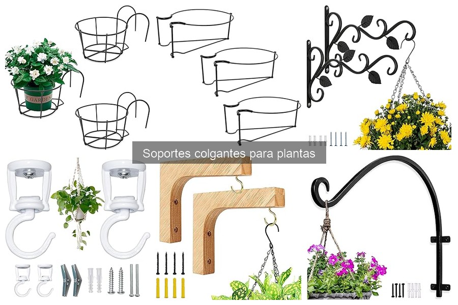 Ventajas de Soportes Colgantes para Plantas en Casa