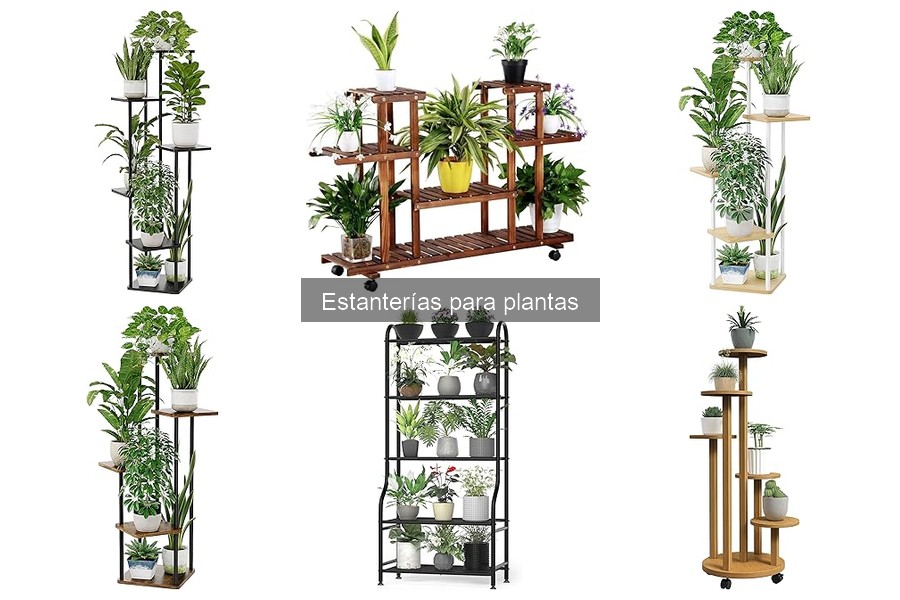 Ventajas de usar estanterías para plantas en casa