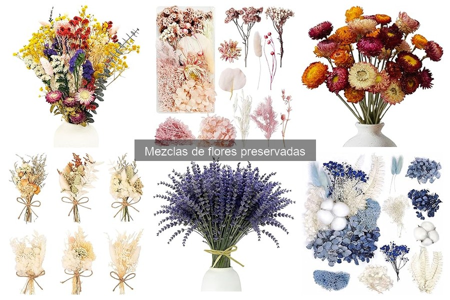 Ventajas de usar flores preservadas en decoración del hogar