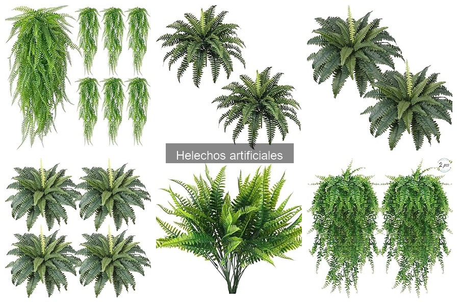 Ventajas de Usar Helechos Artificiales en Decoración
