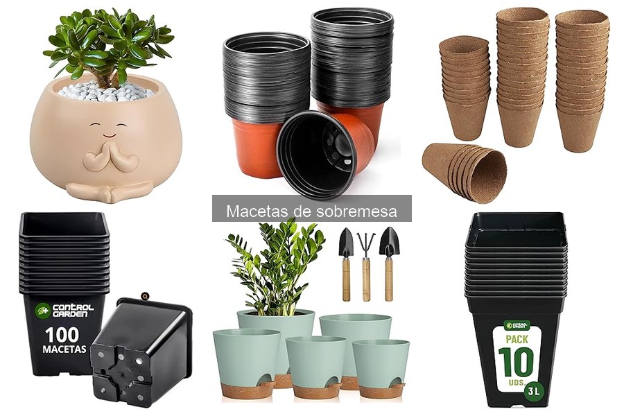 Ventajas de usar macetas de sobremesa en la decoración de tu hogar