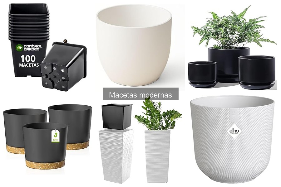 Ventajas de Usar Macetas Modernas en Decoración Floral