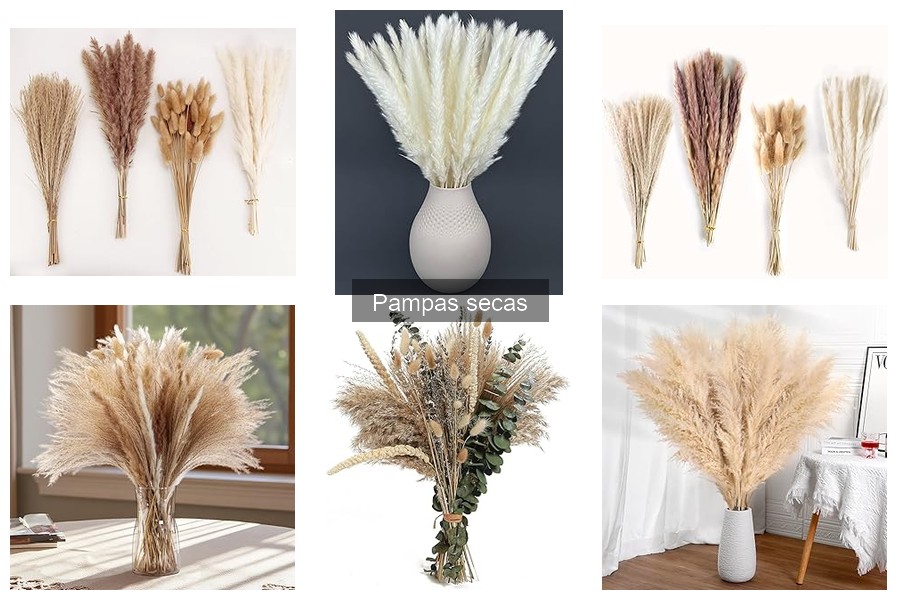 Ventajas de usar pampas secas en la decoración del hogar