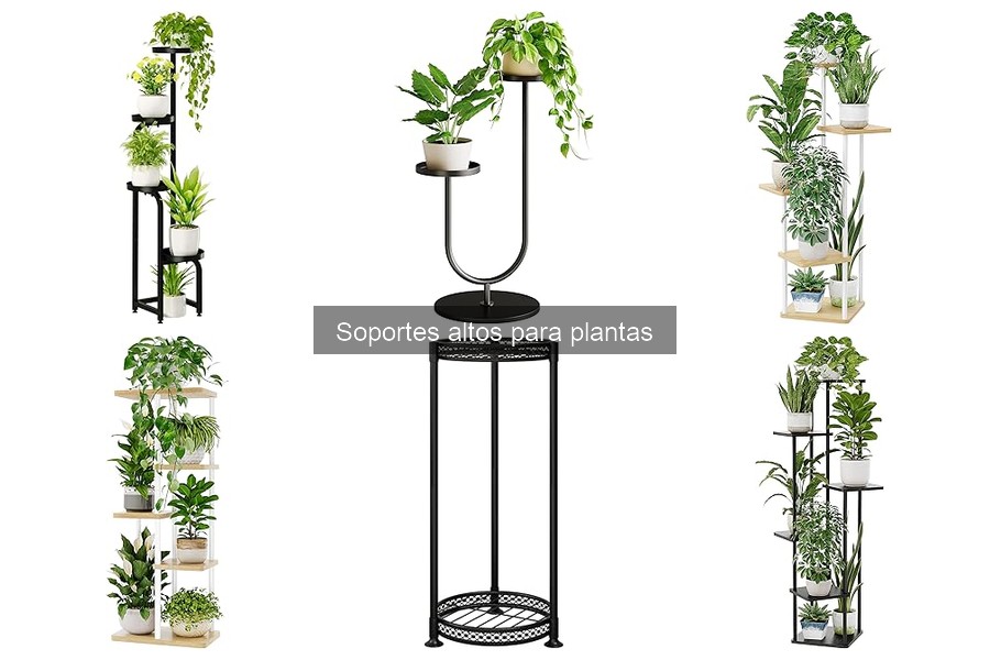 Ventajas de Usar Soportes Altos para Plantas en el Hogar