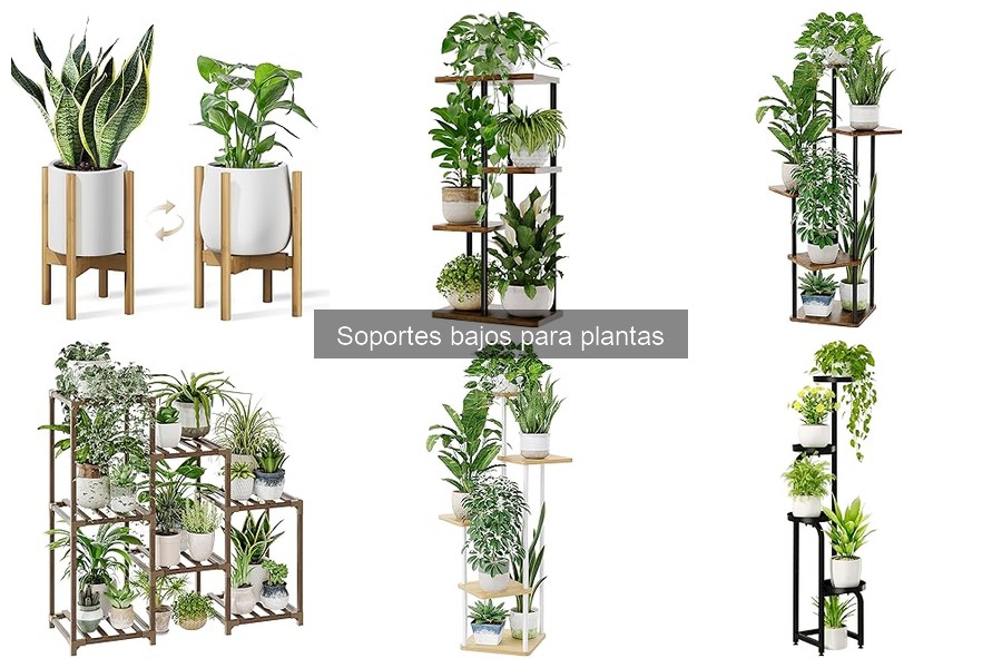 Ventajas de Usar Soportes Bajos para Plantas en Casa