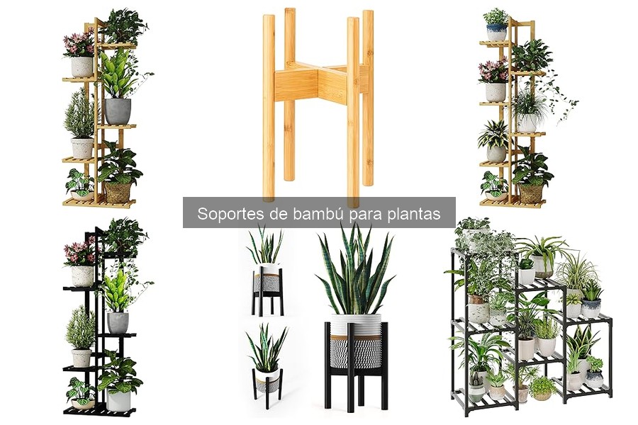 Ventajas de usar soportes de bambú para plantas en casa