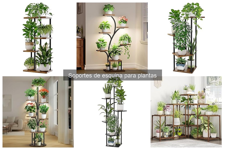 Ventajas de Usar Soportes de Esquina para Plantas en Casa