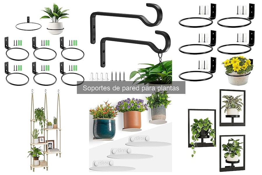 Ventajas de Usar Soportes de Pared para Plantas en Casa