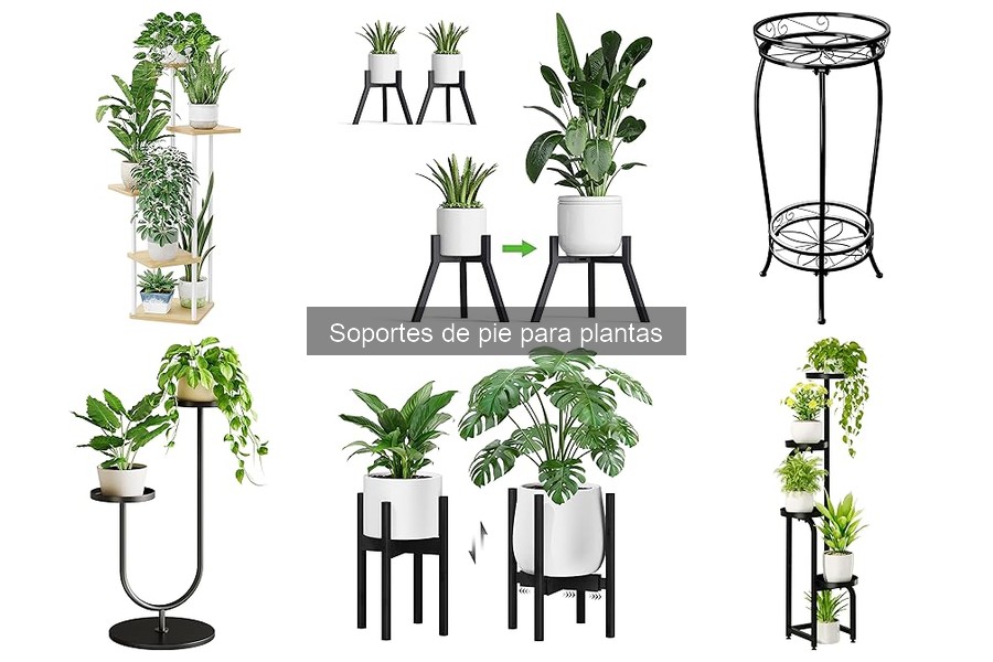 Ventajas de Usar Soportes de Pie para Plantas en Casa