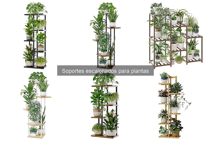 Ventajas de Usar Soportes Escalonados para Plantas en Casa