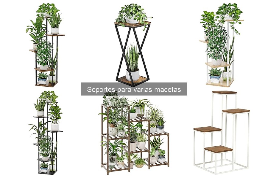 Ventajas de Usar Soportes para Varias Macetas en Casa