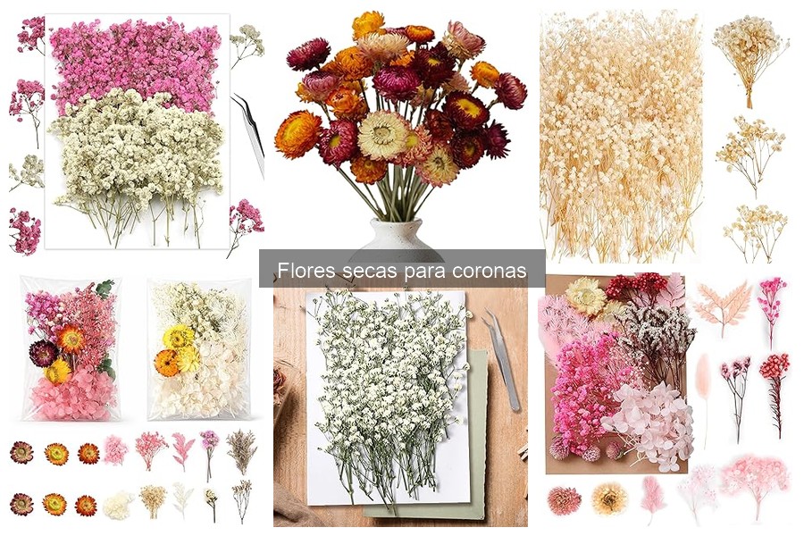 Ventajas y Desventajas de las Flores Secas en Decoración