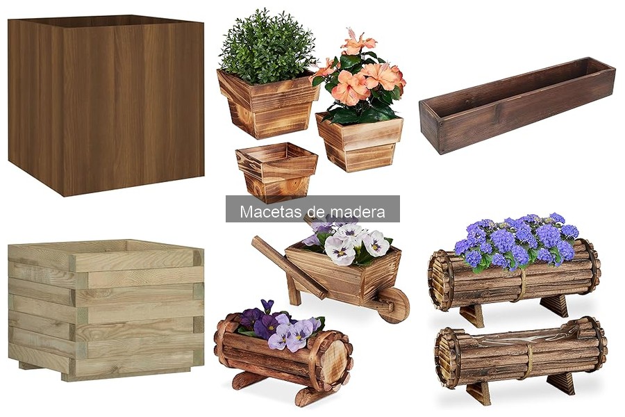 Ventajas y desventajas de las macetas de madera para plantas