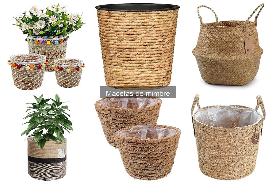 Ventajas y desventajas de las macetas de mimbre para plantas