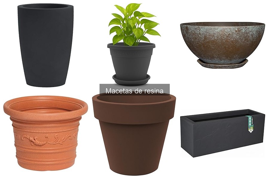 Ventajas y desventajas de las macetas de resina para plantas