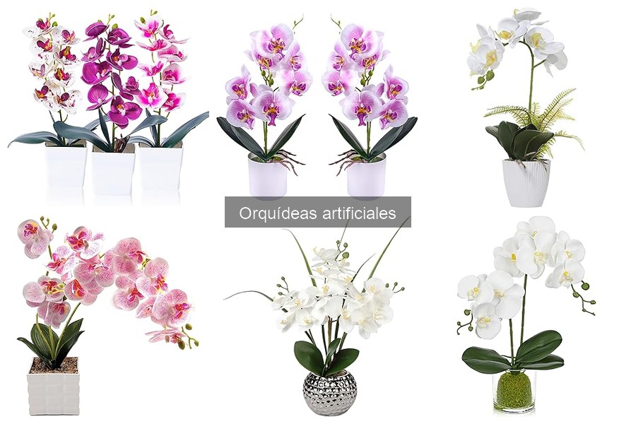 Ventajas y Desventajas de las Orquídeas Artificiales