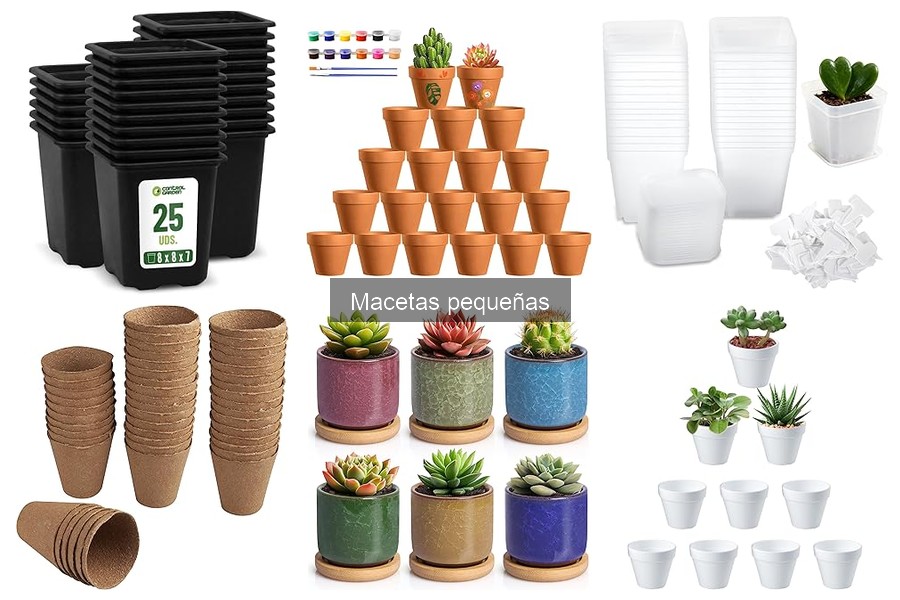 Ventajas y desventajas de usar macetas pequeñas para plantas